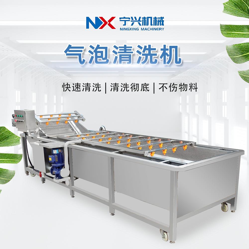 大型草莓气泡清洗机圣女果清洗设备全自动鱼虾海鲜清洗机器