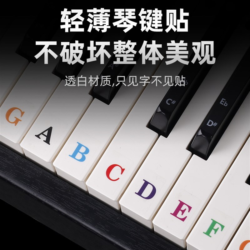 字母钢琴键盘贴纸88键61键54键电子琴琴键贴按键贴透明多彩英文贴