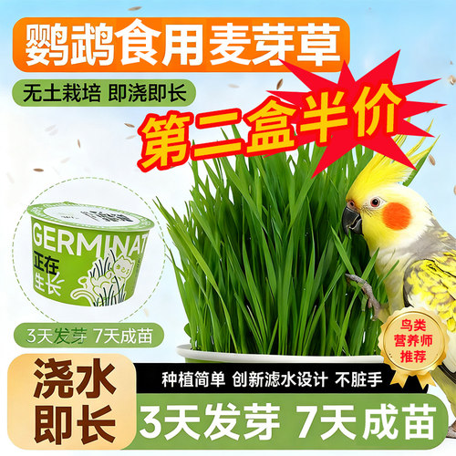 鹦鹉麦芽草促消化吸收天然鸟粮