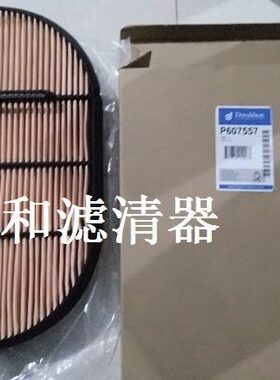 蜂窝空气滤芯P607557/P608667
