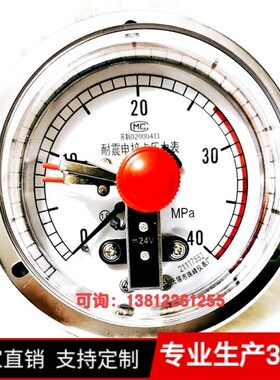 无锡市珠峰仪表厂ZFYB 磁敏簧感应式24V电接点双上限轴向背接带边