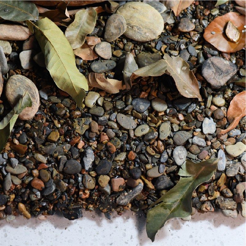 纯天然鱼缸砂石原生缸溪流沙子造景石头水族箱七彩石头雨林砂石片,宠物/宠物食品及用品,造景/装饰,淘宝优惠券,粉丝福利购,淘宝优惠卷