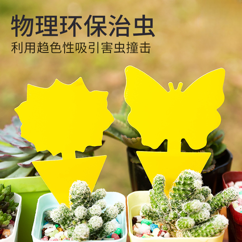 黄板粘虫板绿植盆栽除虫花卉家用花盆飞虫小黑飞贴灭苍蝇诱捕纸
