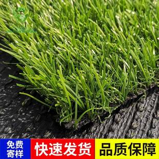 人造草坪休闲场所PE塑料假草坪仿真草皮地毯塑胶跑道人造草皮