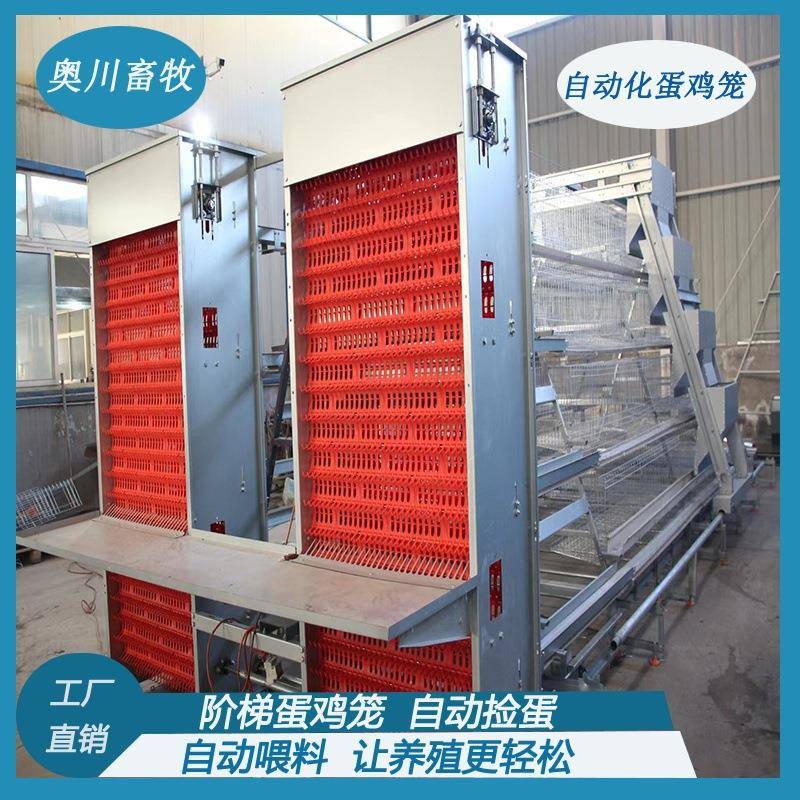 蛋鸡笼多层阶梯全自动清粪捡蛋喂料简单加背负式喂料机捡蛋鸡