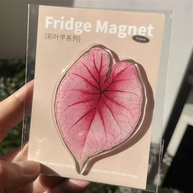 热带珍稀植物磁吸冰箱贴插画 画创意冰箱磁铁夏季冰箱磁铁定制
