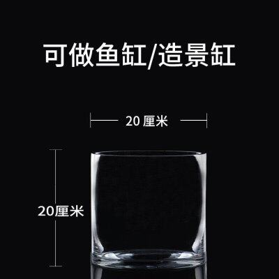特大号落地花瓶玻璃透明摆件水养富贵竹水竹玫瑰百合插花客厅家用