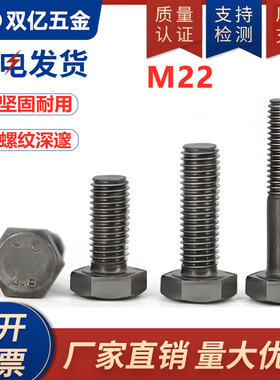 本色加长螺丝外六角螺丝4.8级GB30外六角螺栓M6M8M10M12M14M16M30