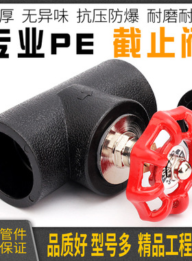 家装加厚热熔PE承插升降截止阀4分6分黑色饮用水自来水管阀门开关