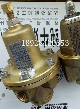 张家港富瑞低温减压阀 调压阀 液氧 液氧 LNG减压阀 DN15 1/2 4分