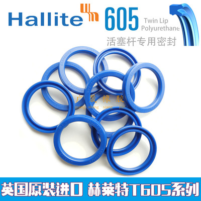 进口液压双唇油封英国 Hallite 赫莱特 H605 95*110 115*10 11 13