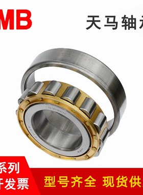 国产TMB天马减速机轴承N204 205 206 207 208 209 210 E