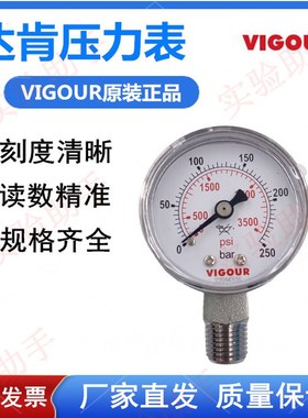 VIGOUR达肯不锈钢精密压力表减压器用高端洁净无油1/4NPT外螺纹