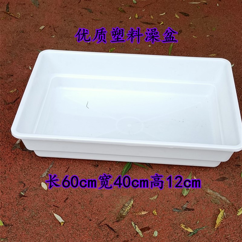 赛鸽用品 信鸽大号澡盆 鸽子洗澡盆浴盆 鸽子用品用具 鸽澡盆