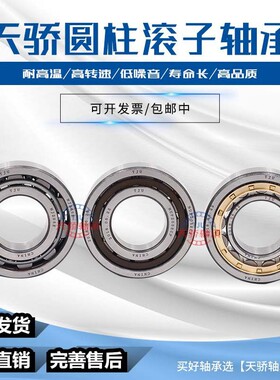瑞典轴承 NUP2205 NU2205 NJ2205 EC/ECP/ECJ/ECM/ M/C3