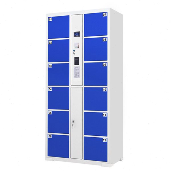 臻远 ZY-G051 指纹12门电子存包柜主柜1800mm*850mm*460mm 随机色