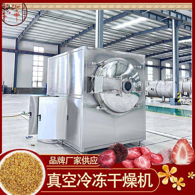 糖果原料蔬菜冻干机设备水果汁真空冷冻干燥机果蔬干粉冻干机