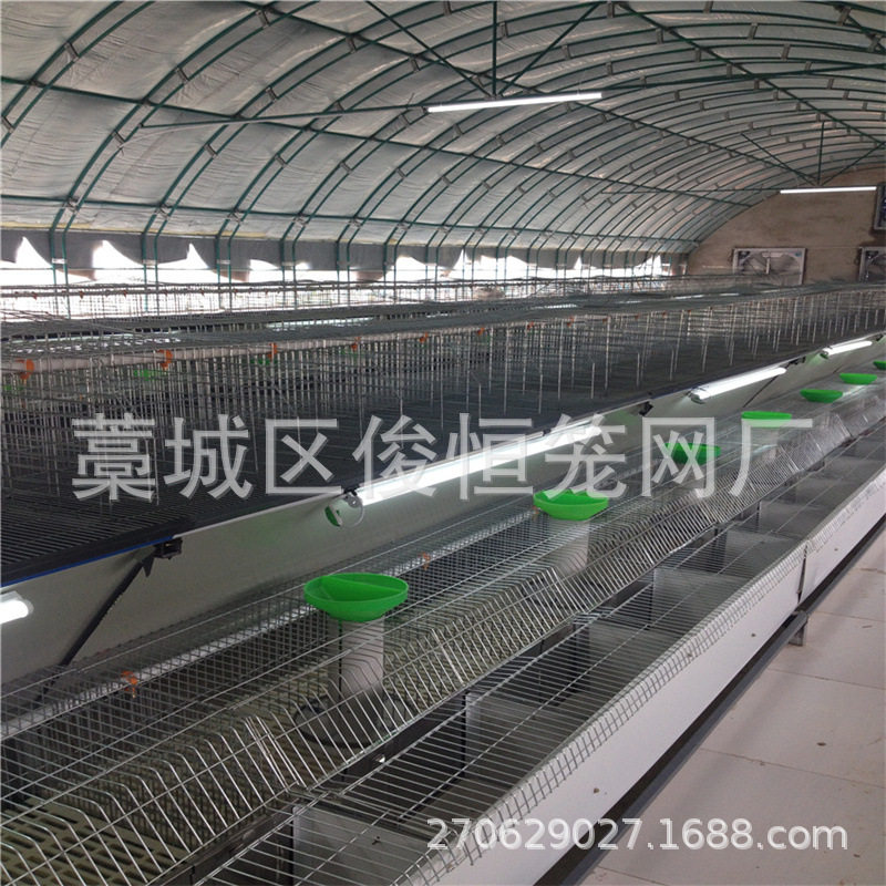 欧式免清粪阶梯式兔笼养殖兔子笼子母兔笼商品兔笼镀锌繁殖兔笼子,畜牧/养殖物资,养殖笼具/鸡笼/兔笼/鸽笼,淘宝优惠券,粉丝福利购,淘宝优惠卷