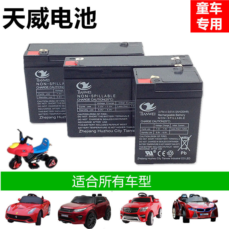 儿童电动三轮摩托车甲壳瓢虫太空狗金龟子6V蓄电池电瓶好来喜通用