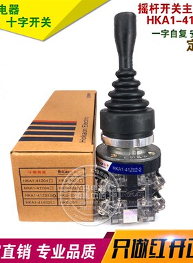 正品红开 HKA1-41Z02-2 一字复位 开个孔30 主令开关 银触点