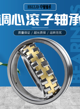 ZWZ瓦轴调心滚子轴承22338 22340 22344 22348CC CA W33 P5 C3 C4