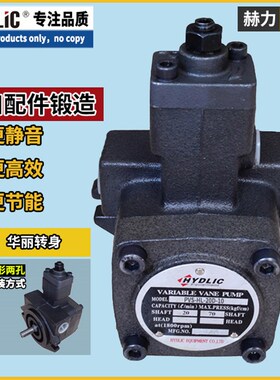 HYDLIC赫力正品油泵变量叶片泵PVS-HL-20D-10 30D 40D 12D 15D