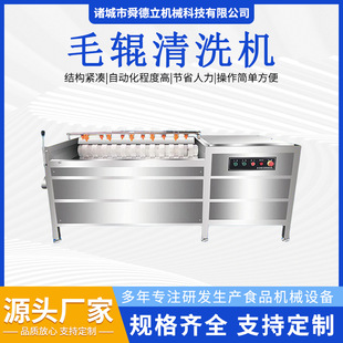 舜德立山葵巴旦木清洗机 南瓜荠菜毛辊去皮机高压喷淋清洗干净