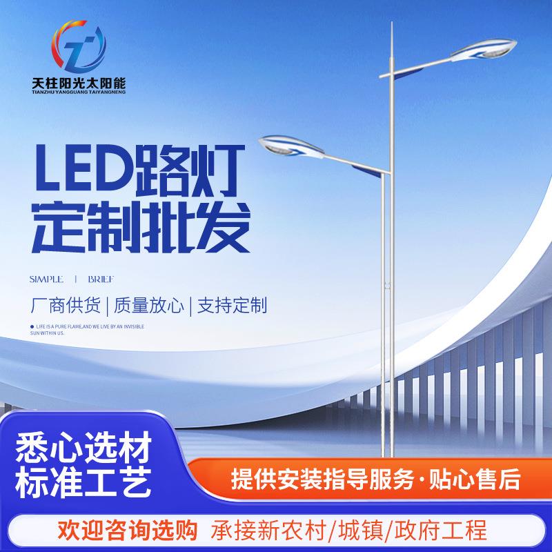 厂家供应led路灯定制8米10米双臂路灯户外城市道路照明市电路灯