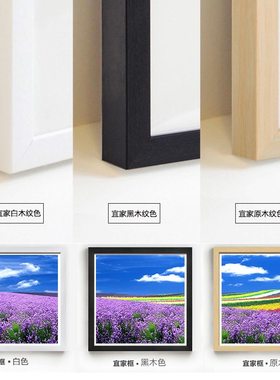 紫色薰衣草客简约现代欧式客餐厅卧室酒店浴室卫生间防水装饰挂画