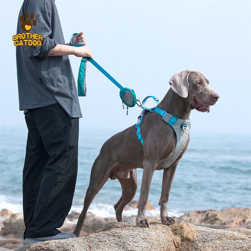 可提拉胸背带背心式遛狗绳中大型犬户外宠物用品防爆冲狗狗牵引绳