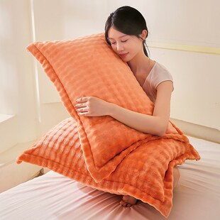 枕头枕芯套装男带加绒枕套护颈椎一对学生单人助睡眠家用成人酒店