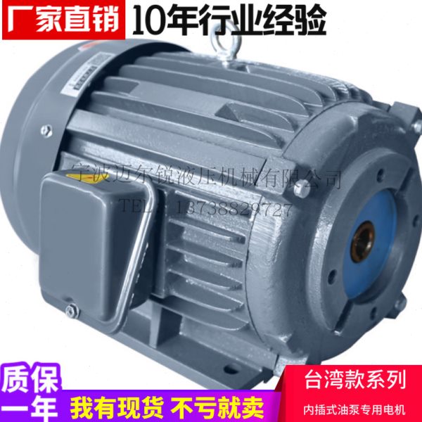 台湾款内插式直插式油泵电机15HP-11KW 20HP-15KW 22KW大功率电机