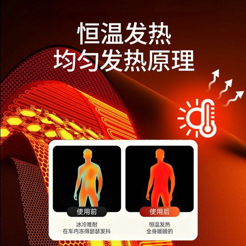 汽车加热坐垫g石墨烯冬季12V座椅垫车载保暖电热毛绒单片垫子座垫