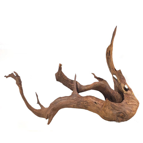 二马沉木20cm 迷你缸用 ADA鱼缸水族桌面缸造景沉木小号小型