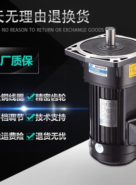 工厂DYG东洋小型交流齿轮减速电机三相大扭矩380V正反转220V400W