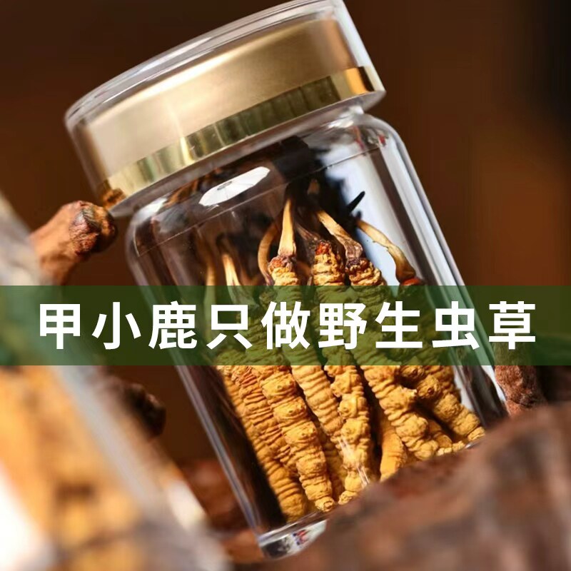 西藏 精品 小草藏区高海拔正宗野生冬虫夏草50根/100根