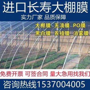 塑料大棚边膜大棚围裙膜围边膜群膜裙膜加厚抗老化淡蓝透明包