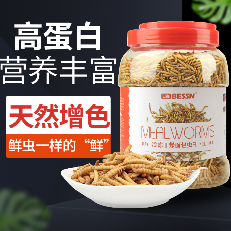 龙鱼饲料金龙银龙鱼饲料鱼食血鹦鹉罗汉发财饲料鱼粮面包虫干