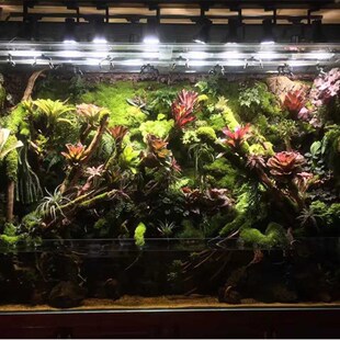 雨林缸LED射灯微景观造景水草灯水陆缸轨道全光谱植物照明灯