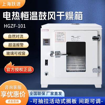 上海HGZF/HGZF-II系列实验室台式干燥箱电热恒温鼓风干燥箱