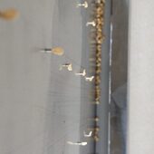 辣椒籽育苗盘播种器 凸针穴盘播种机