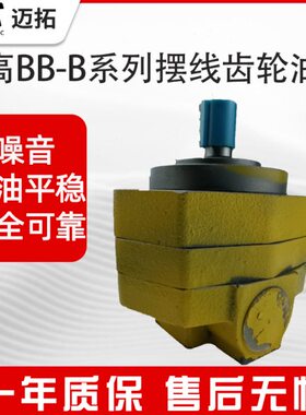 齿轮泵摆线齿轮油泵BB-B4/6/10/16/20/25/32/40/50/63/80/100/125