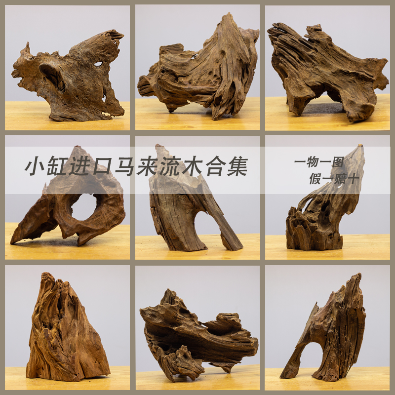 进口马来a西亚小精品流木小鱼缸造景沉木免煮草缸布景乌龟晒背躲