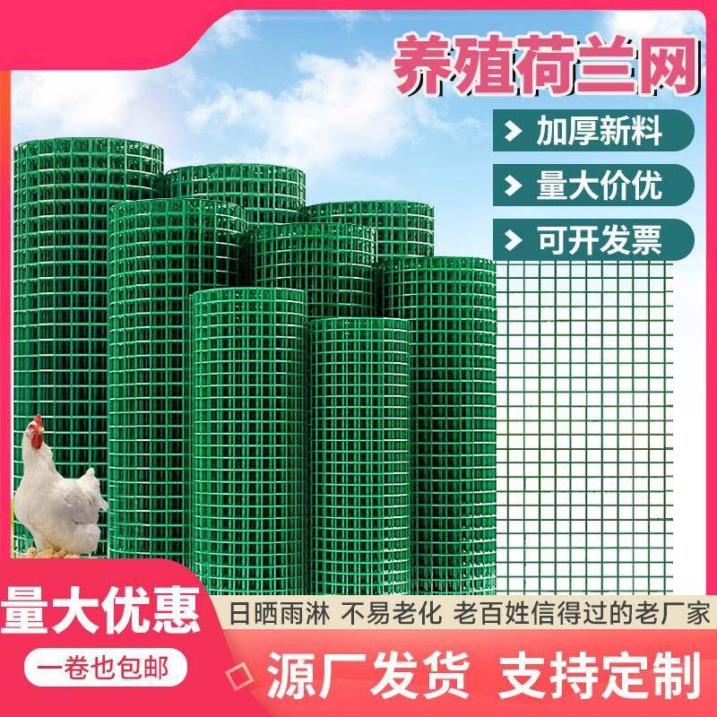 厂家现货养鸡围栏网养殖隔离护栏网果园圈地铁丝网硬塑荷兰网