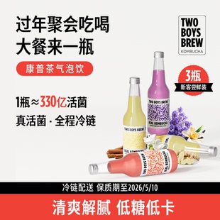 TBB精酿康普茶调味饮品苏打气泡水碳酸饮料330ml*3瓶 5月到期