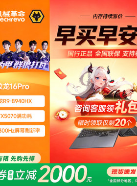 机械革命蛟龙16Pro游戏本
