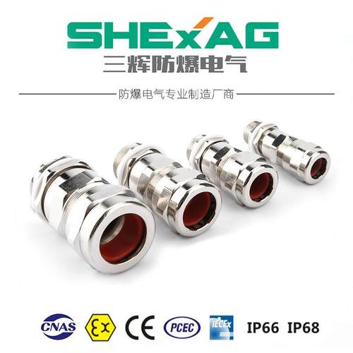 SHBDM-21防爆填料函不锈钢防爆固定头电缆密封接头固定头