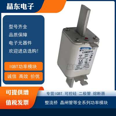 170M3921 170M3922 170M3923 170M3924 170M3925 170M3926熔断器