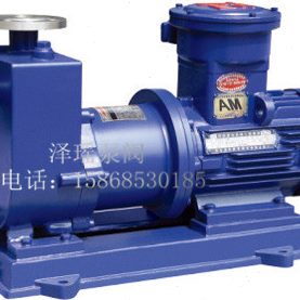 上海自吸磁力泵 ZCQ型自吸式磁力泵 耐腐自吸泵 304不锈钢磁力泵