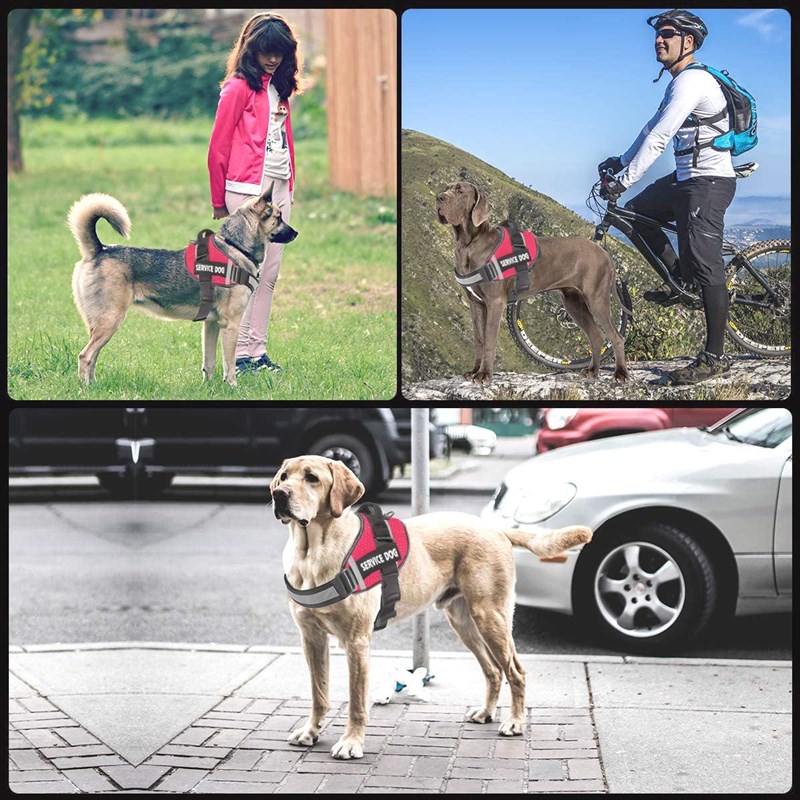 直供反光舒适狗狗胸背带大型犬牵引绳遛狗绳子背心式宠物胸背